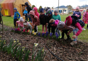 przedszkolaki wąchają kwiaty
